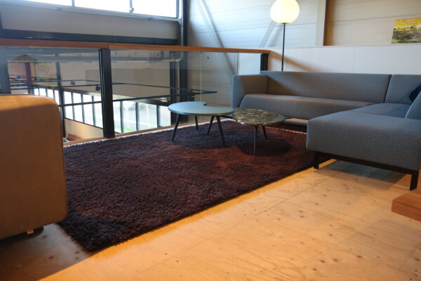 Forêt - CS-RugsKarpet van vervilte garens met unieke structuur in aubergine en zeeblauw. Afmeting: 200 x 300 cm. Direct verkrijgbaar bij Gulden Interieur.