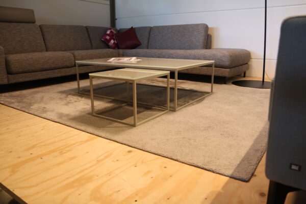 Centro - Rolf Benz x Braun. Luxe grijs karpet van 100% Tencel met een afmeting van 250 x 200 cm. Dit stijlvolle kleed is direct verkrijgbaar.