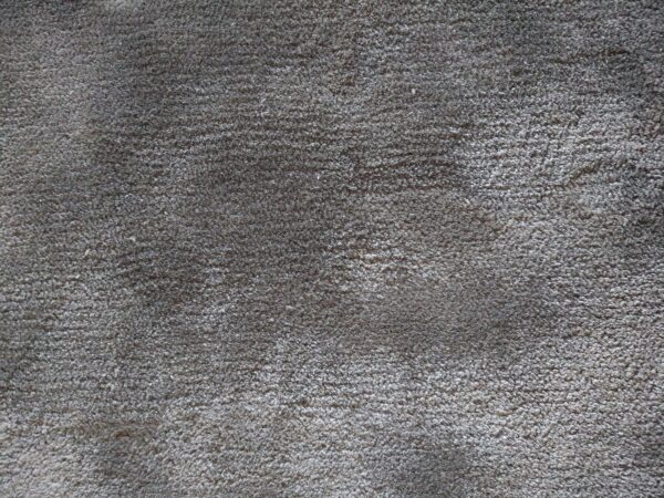 Luxe grijs karpet van Braun in kwaliteit Soft, met korte pool en subtiele glans. 240 x 305 cm. Exclusief in de showroomsale. Officiële dealer.