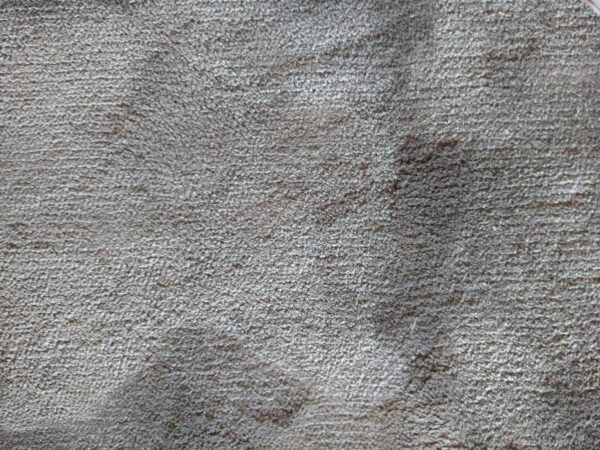 Luxe grijs karpet van Braun in kwaliteit Soft, met korte pool en subtiele glans. 240 x 305 cm. Exclusief in de showroomsale. Officiële dealer.